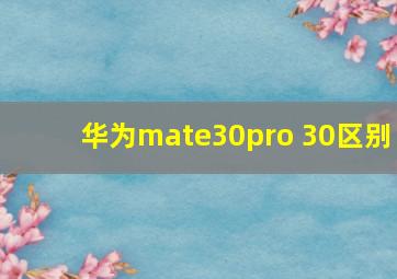 华为mate30pro 30区别